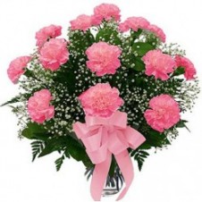10 pcs pink carnations in a Vase